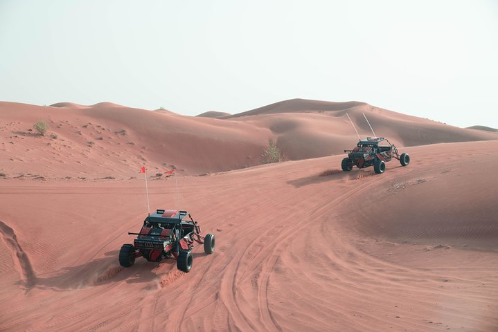 Experience the Mleiha Desert's stunning landscapes as you navigate iconic dunes and rocky formations in custom-built buggies uncovering ancient stories and hidden gems at every turn.